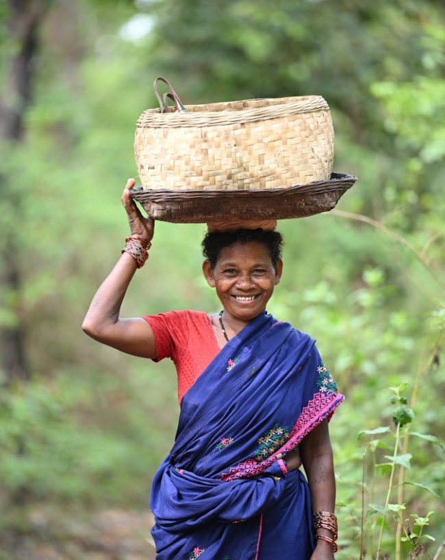 प्रकृति के साथ सामंजस्य