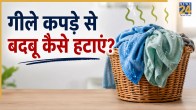 Clothes Smell Prevent Tips