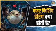 Puffer Fishing In Relationship