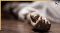Punjab Crime