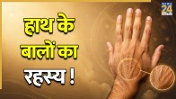 Hand-Hair-Meaning