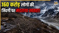 Himalayan Greenery Expansion