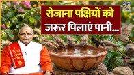 Kaalchakra Today 10 June 2026