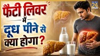 Milk In Fatty Liver