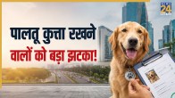 New Pet Dog Rules in Gurugram