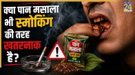 Paan Masala