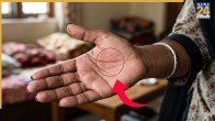 Palmistry Grille Marks