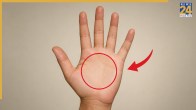 Palmistry