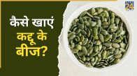 Pumpkin Seeds