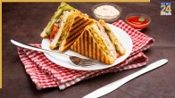 Sandwich Recipe