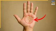 Snake Line On Hand Meaning
