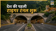 Tiger Tunnel