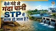 Stp Working Process