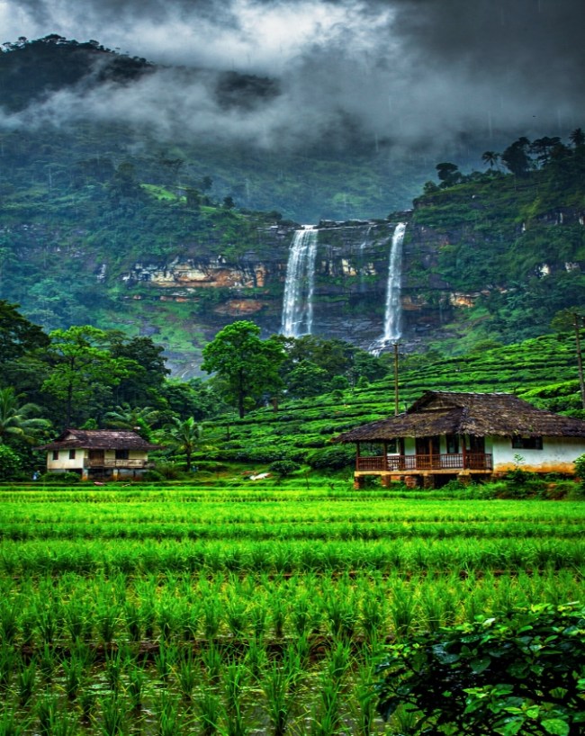वायनाड, केरल