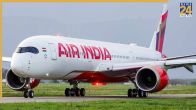 Air India flight bird hit, Patna airport, AI 1741, Delhi Patna flight, Jayprakash Narayan Airport