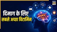 Dimag Ke Liye Best Vitamin