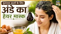 Egg Hair Mask for Dry Hair