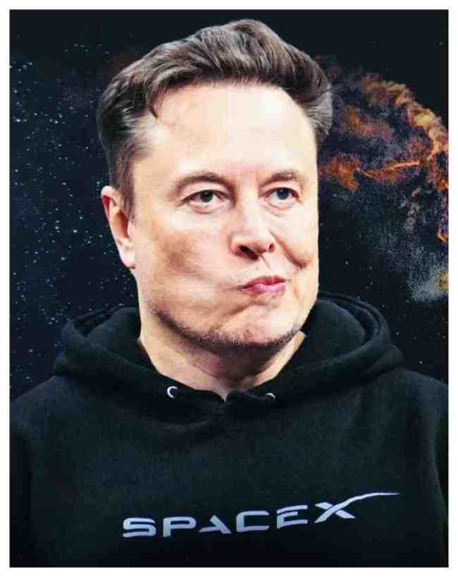 स्पेसएक्स (SpaceX) के शेयरों में 30% का बड़ा क्रैश, ठंडी पड़ी आईपीओ की रफ्तार