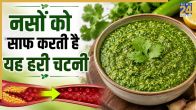 Green Chutney Benefits in hindi