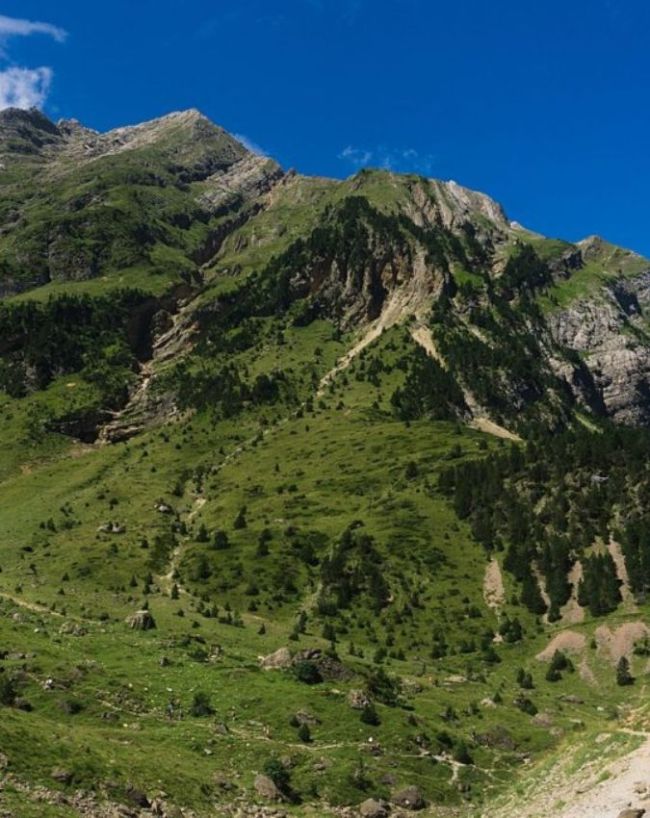 प्रोजेक्ट स्टारगेट और रिमोट व्यूइंग