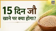 What are the benefits of eating jau