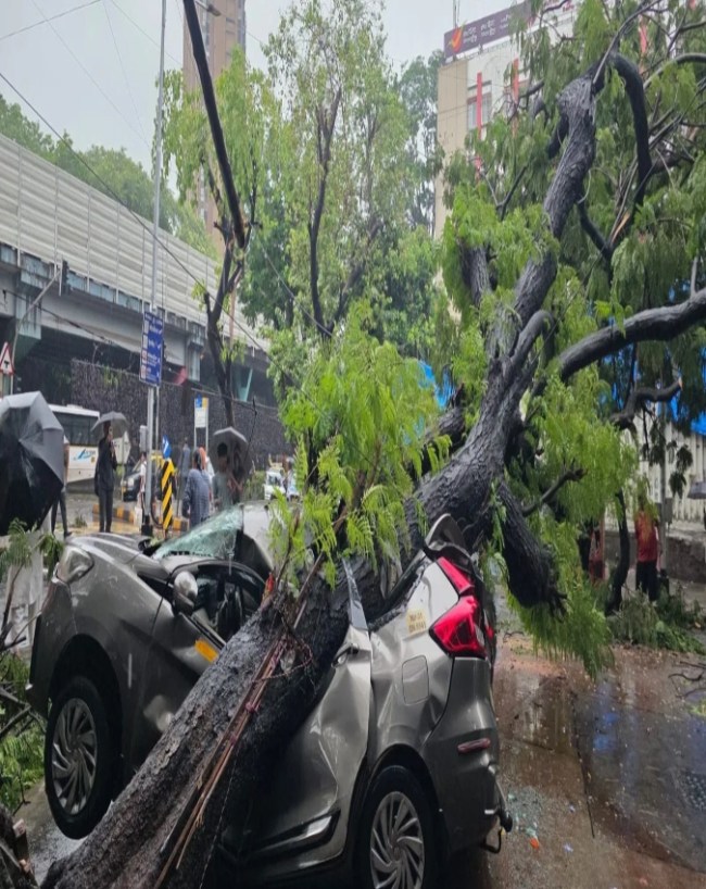 निचले इलाकों में जलभराव