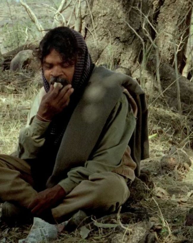 किसने लिखे गाने के बोल?