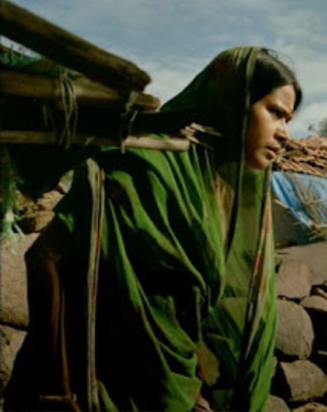 फिल्म को भी मिला ऑडियंस का प्यार
