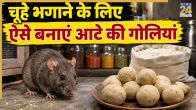 rats home remedies