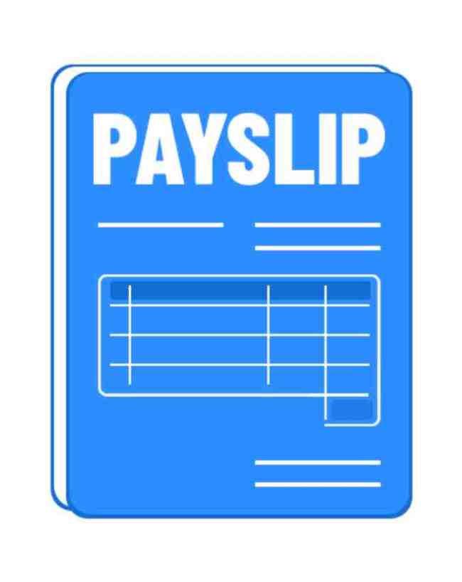 2. सैलरी स्लिप (Pay Slips) से करें आंकड़ों का मिलान 