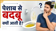 Peshab mein badbu ke karan