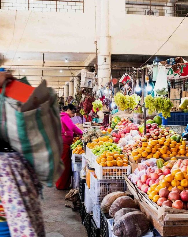 500 साल से ज्यादा पुराना है इतिहास