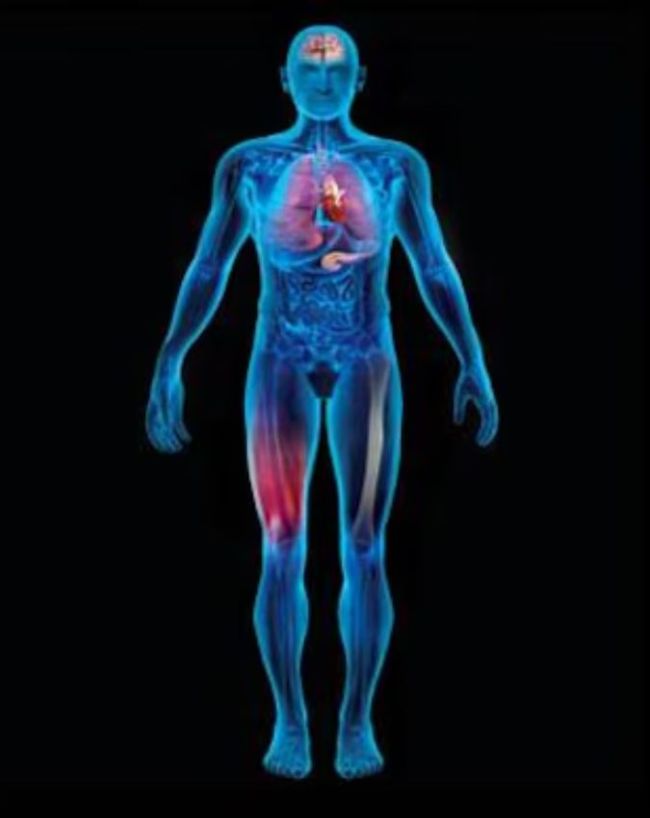 ज्यादा सप्लीमेंट लेना सही नहीं 