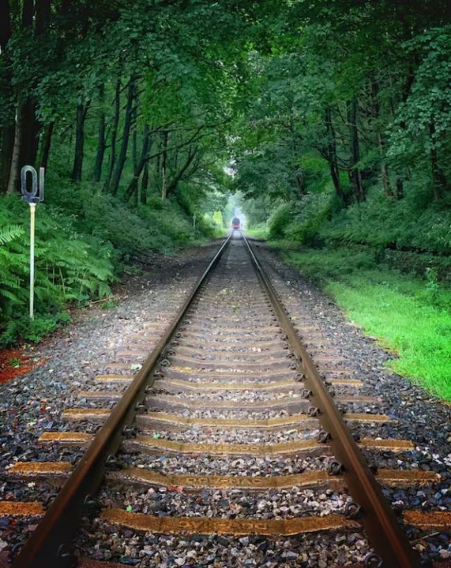 नीलगिरि माउंटेन रेलवे ट्रैक 