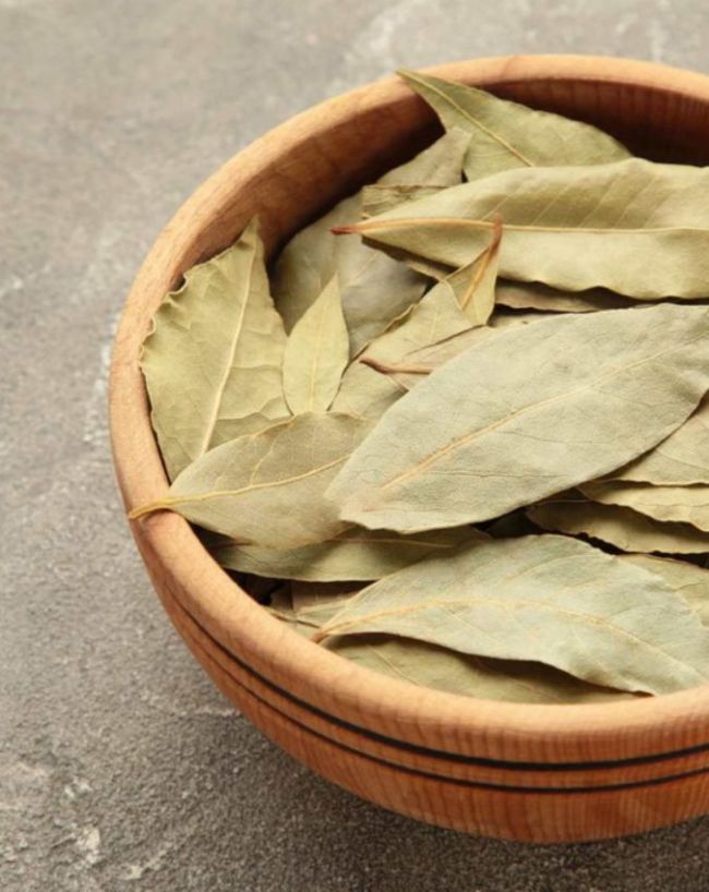 आखिर क्यों मोजे में तेज पत्ता रखकर सोते थे लोग?