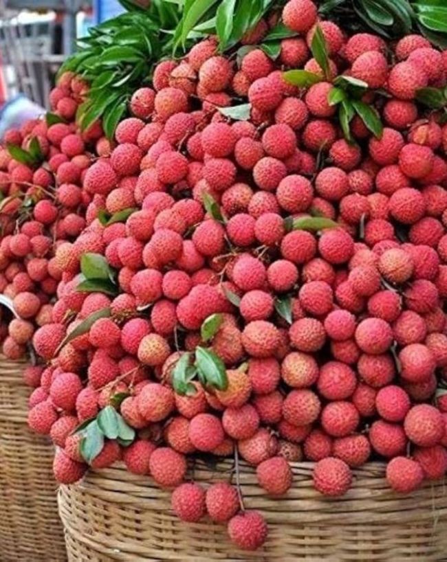कब खानी चाहिए लीची?