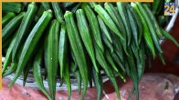 Ladyfinger for Blood Sugar