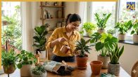 Plant Care After Buying