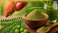 How To Use Bhumi Amla For Fatty Liver