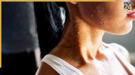 Belly Fat Causes