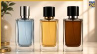 What is Level of Perfume