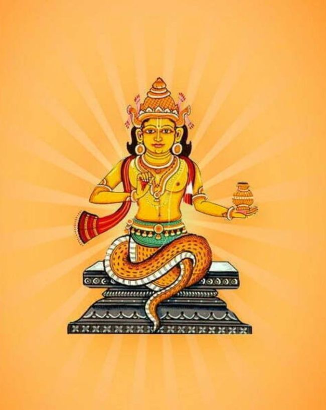 राहु नक्षत्र गोचर