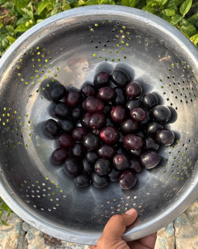 पाचन तंत्र अच्छा रहता है 
