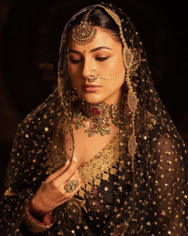 शहनाज की पिछली जिंदगी