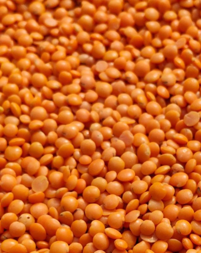 एकसाथ कम दाल खरीदें 