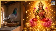 Auspicious Signs Associated With Pigeons