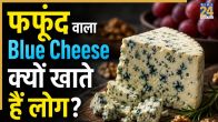 Why people eat blue cheese fungus