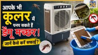 Cooler Cleaning