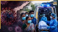 corona virus alert