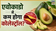 avocado for bad cholesterol